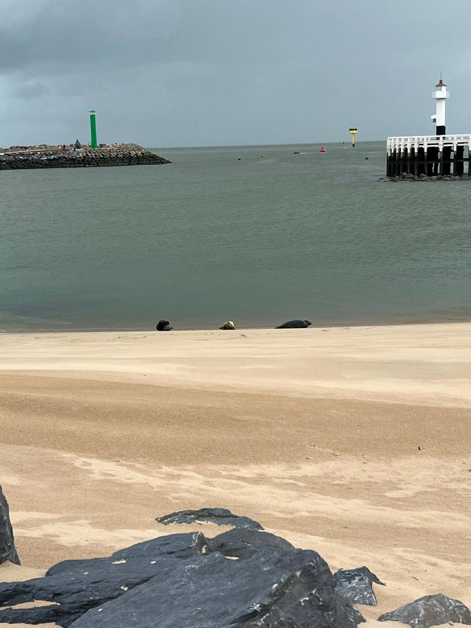 Appartamento Bonelly Ostenda Esterno foto